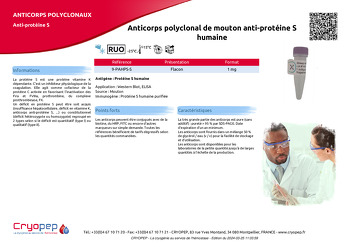 Fiche produit Anticorps polyclonal de mouton anti-protéine S humaine