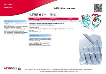 Fiche produit Kallikréine humaine